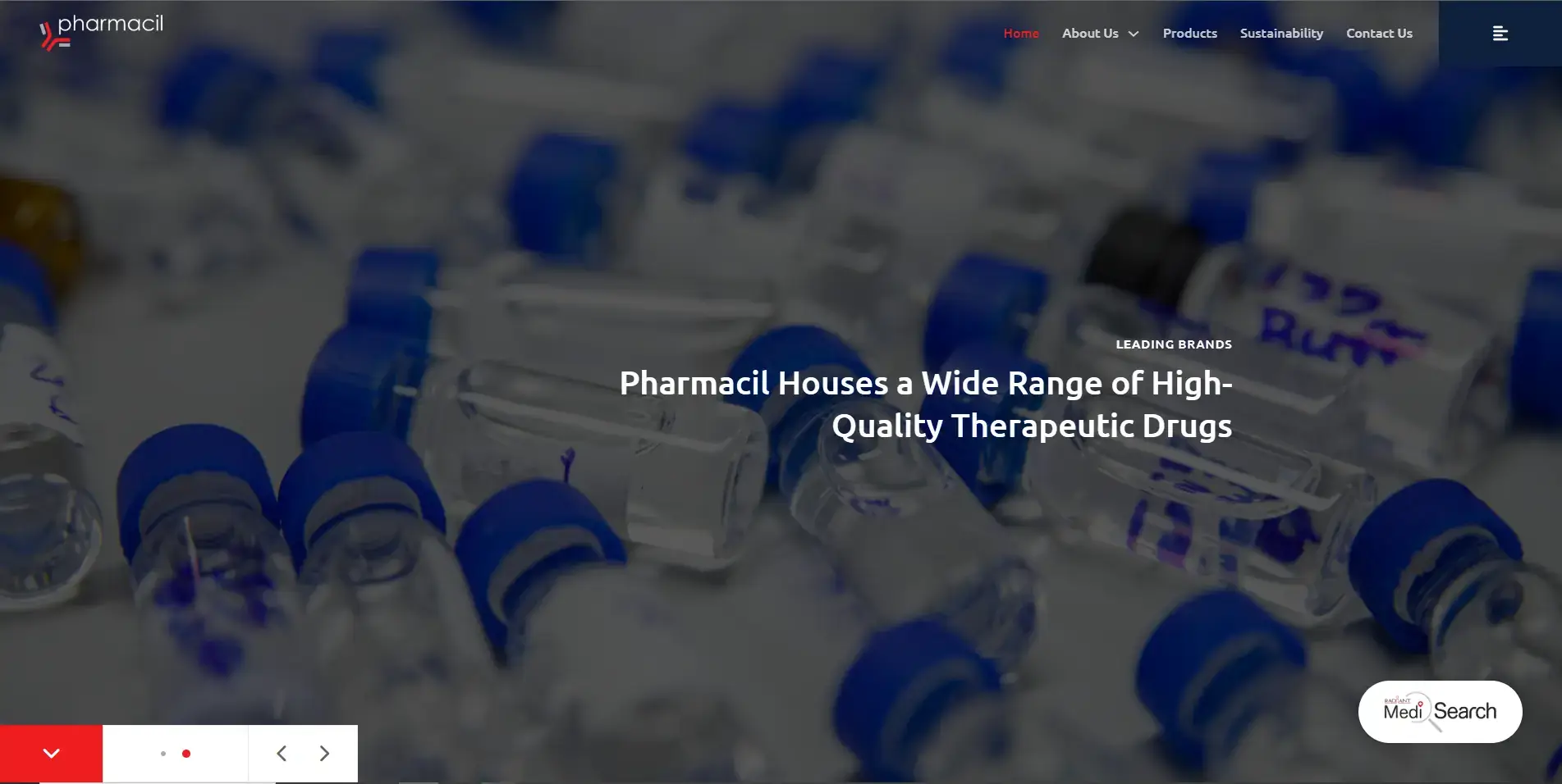 Dedicated Web Development Team for Pharmacil